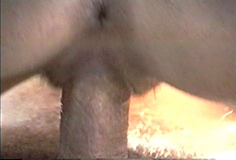 Agnes Tilli – Private Classics: Triple X 2